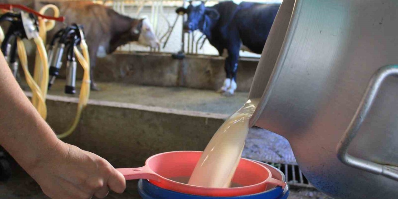 TÜSEDAD'dan İş Birliği Çağrısı