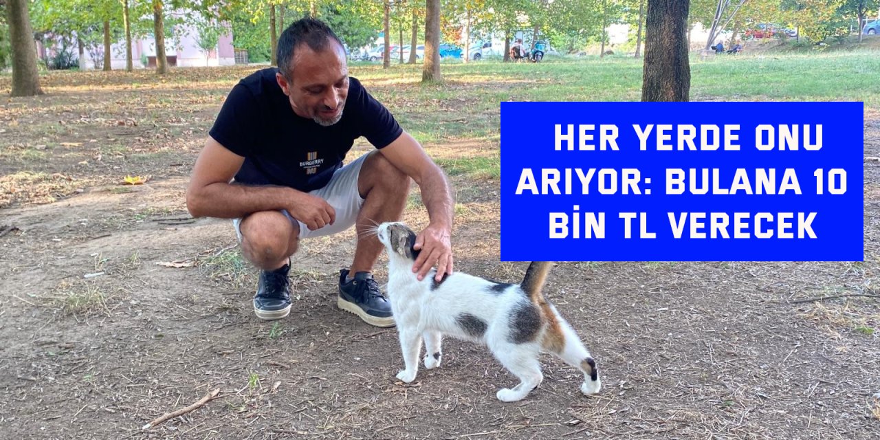 Her yerde onu arıyor: Bulana 10 bin TL verecek