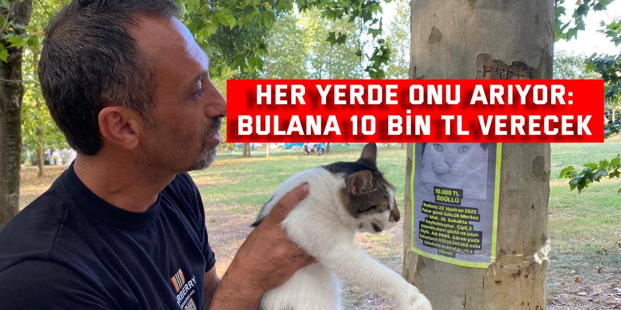 HER YERDE ONU ARIYOR:    Bulana 10 bin TL verecek