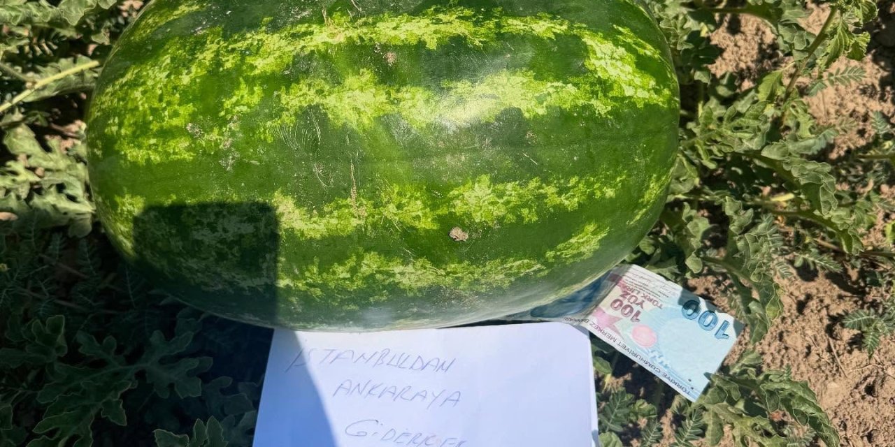 Karpuz üreticisi duygulandı