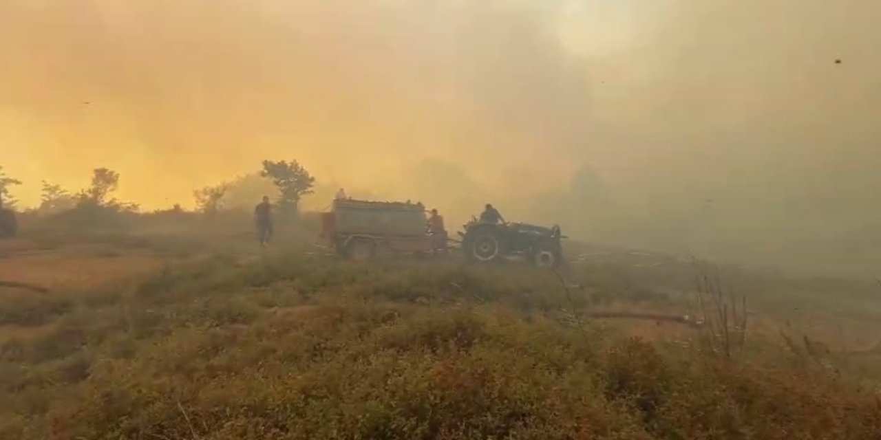 Gebze'deki orman yangınını söndürme çalışmaları sürüyor