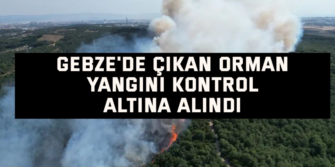 Gebze'de çıkan orman yangını kontrol altına alındı