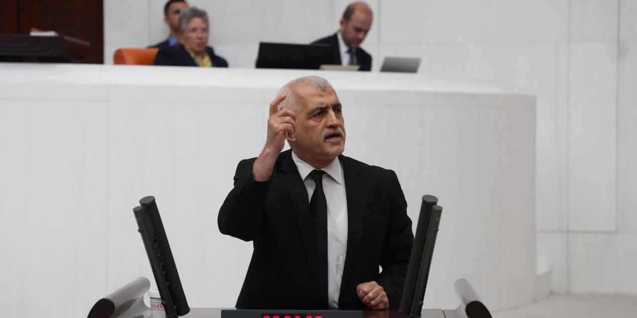 GERGERLİOĞLU'NDAN SERT TEPKİ:   "Zeytinler Katledilecek!"