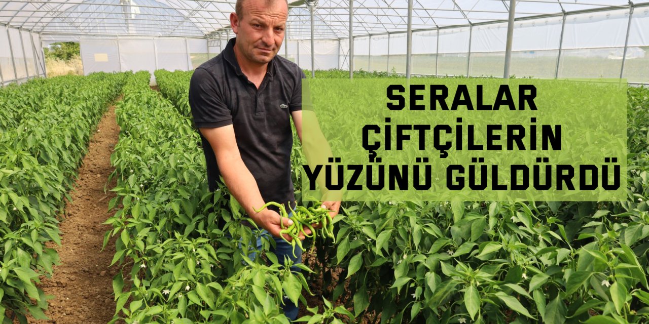 Seralar çiftçilerin yüzünü güldürdü