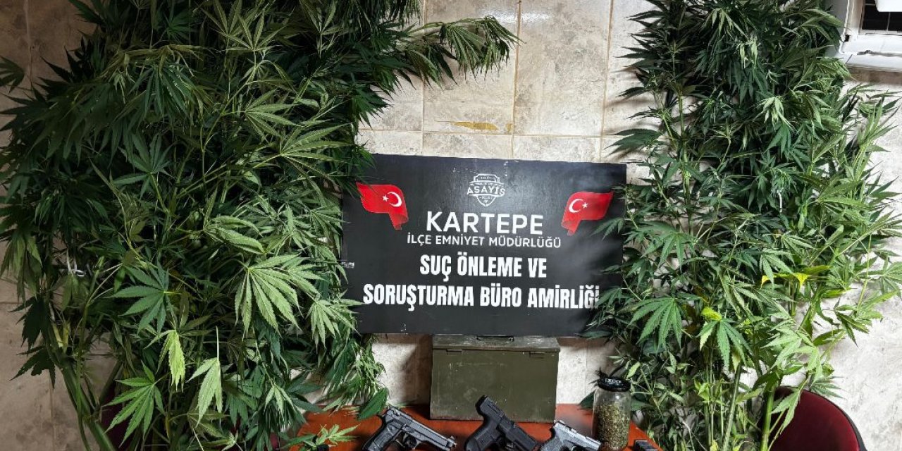 Cephanelik gibi evden kenevir ve silah çıktı