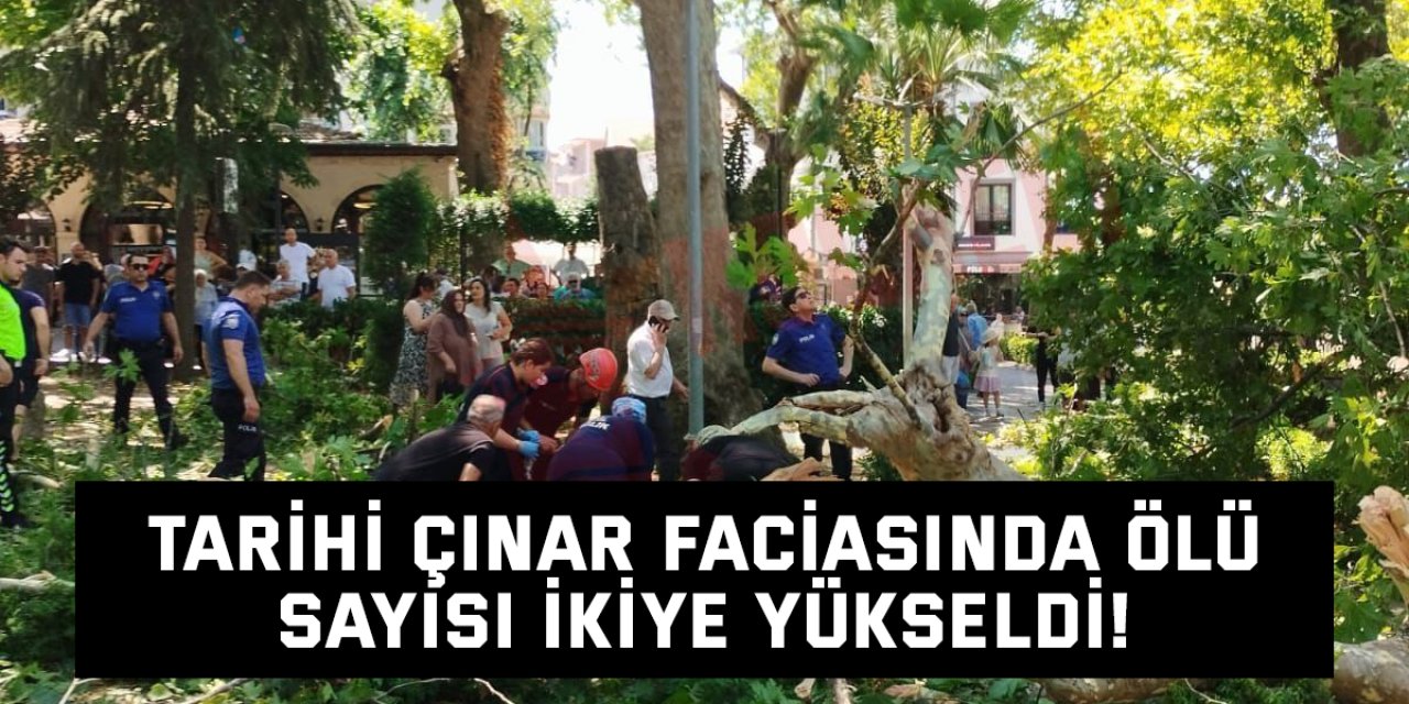 Tarihi çınar faciasında ölü sayısı ikiye yükseldi!