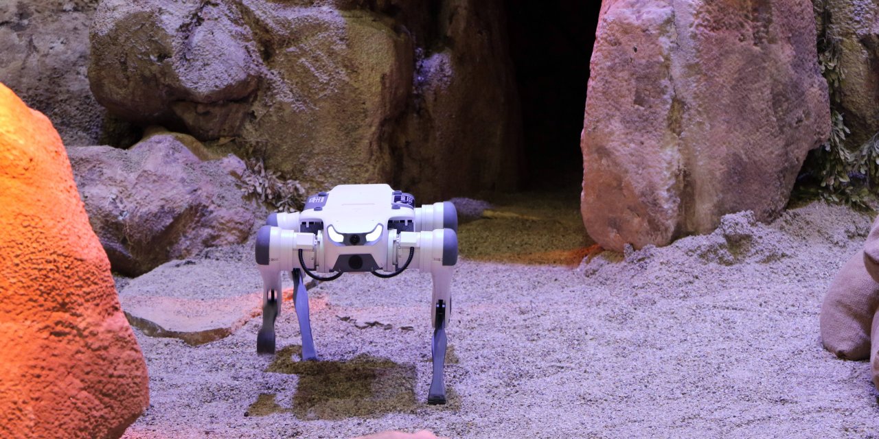 Zıplayan, takla atan ve selam veren robot köpekler
