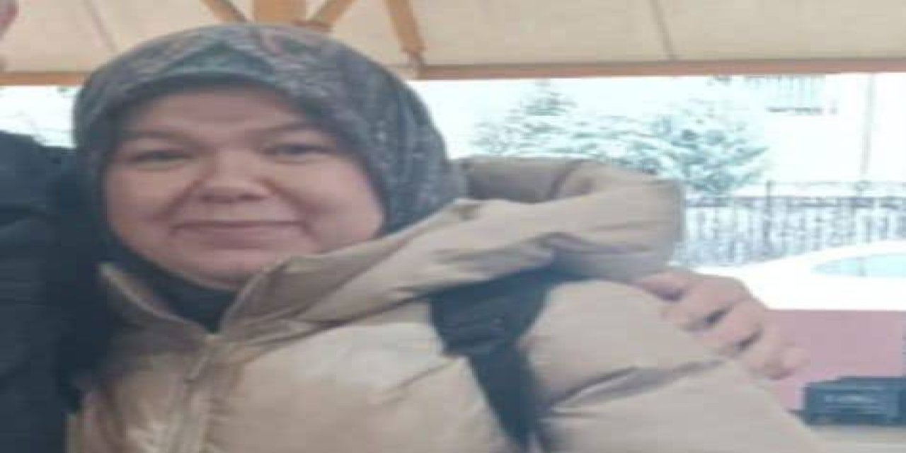 Köprü ayağına çarpan otomobilde ağır yaralanan kadın kurtarılamadı