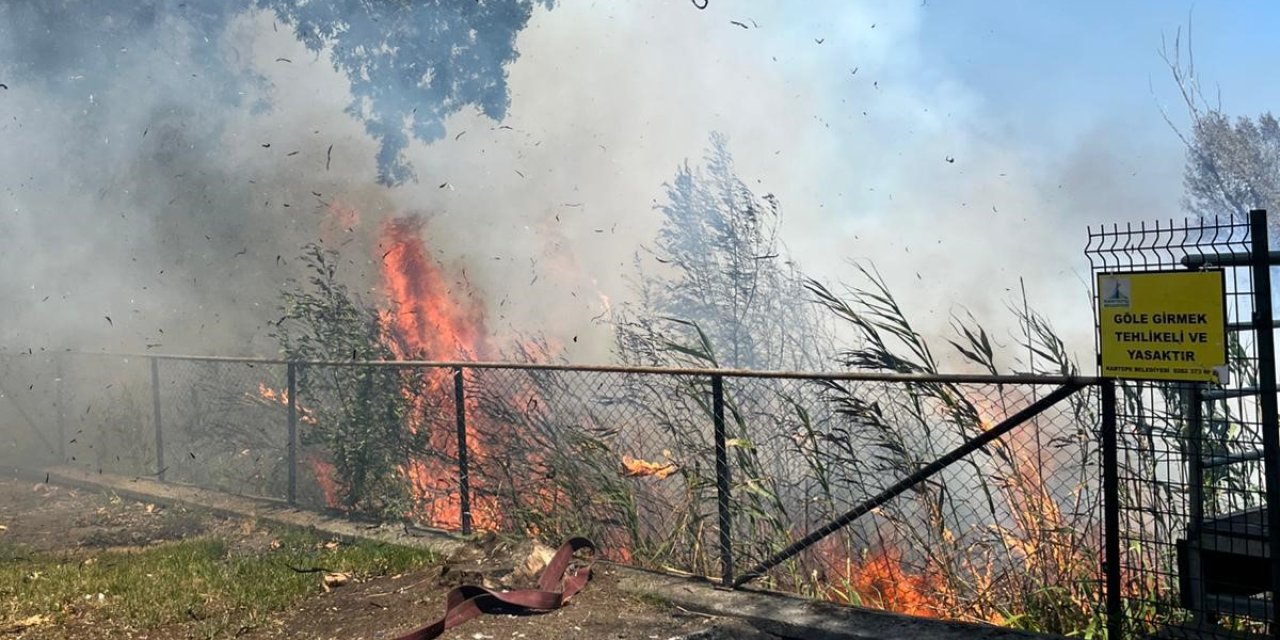 Sapanca Gölü'ndeki sazlık alanda yangın çıktı