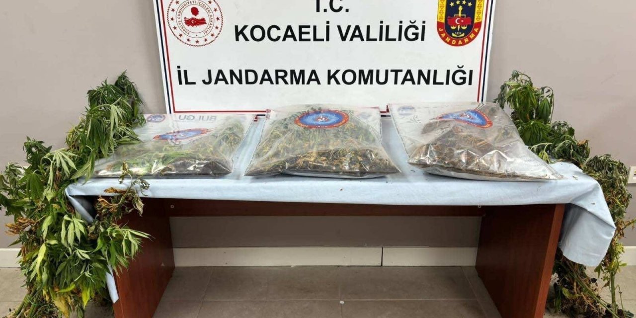 Kocaeli'de uyuşturucu operasyonu