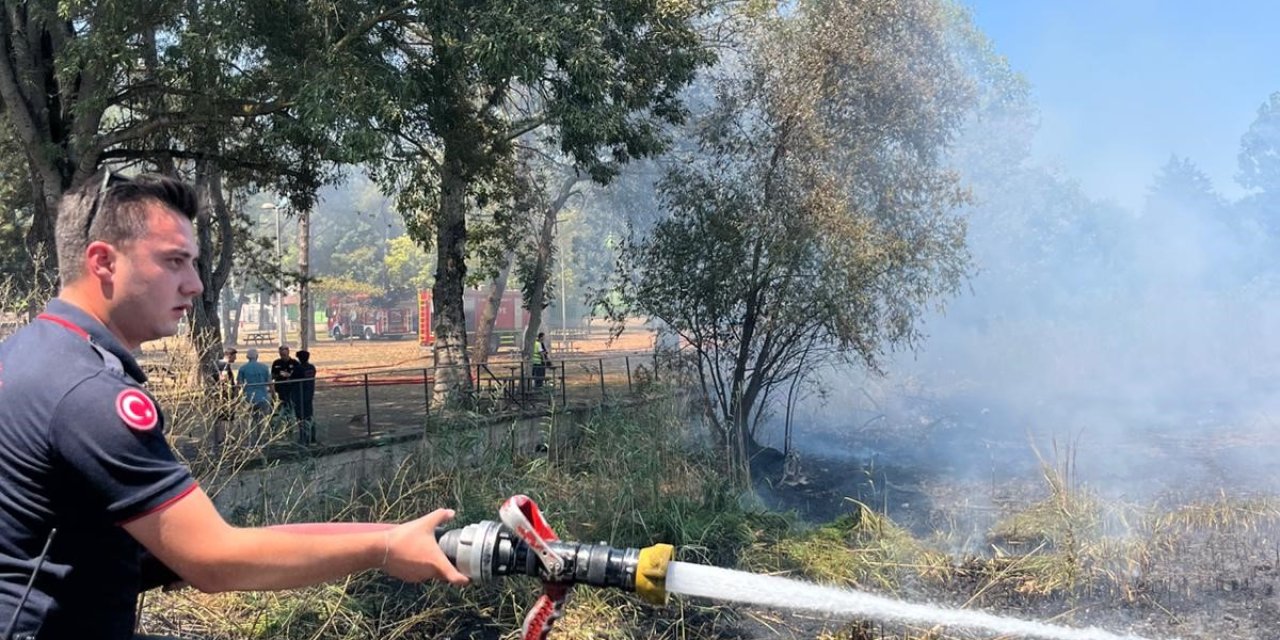 Sapanca Gölü'ndeki sazlık alanda yangın çıktı