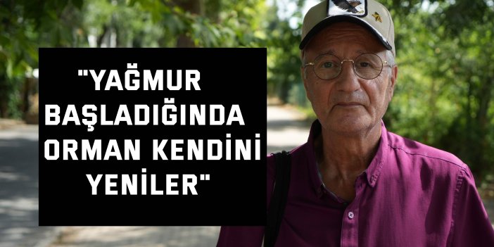 "Yağmur başladığında  orman kendini yeniler"