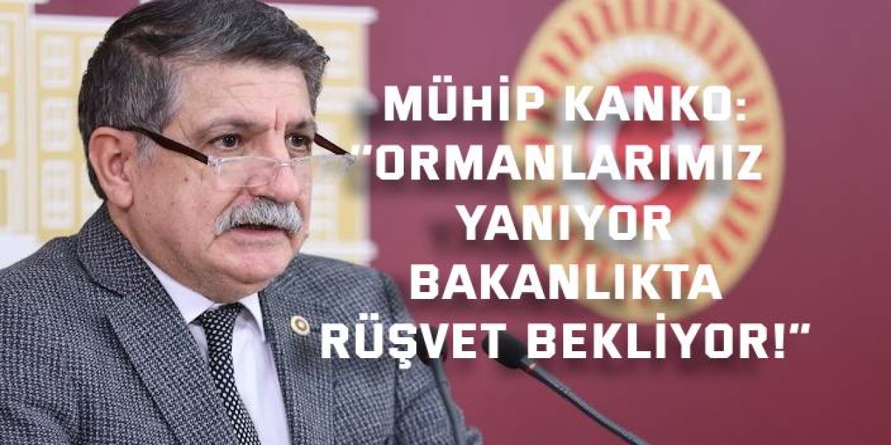 MÜHİP KANKO:    ‘’Ormanlarımız Yanıyor, Bakanlıkta Rüşvet Bekliyor!”