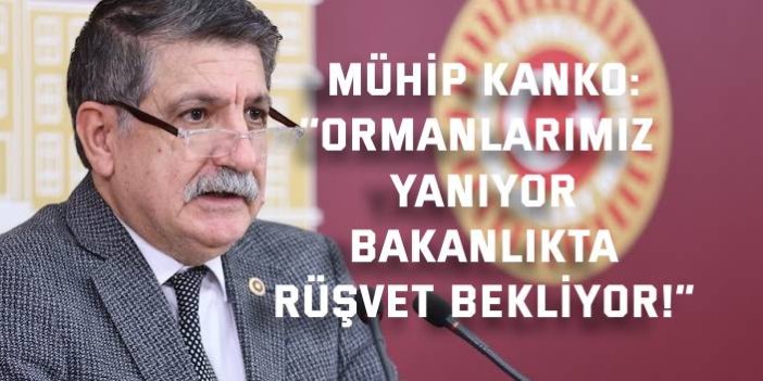 MÜHİP KANKO:    ‘’Ormanlarımız Yanıyor, Bakanlıkta Rüşvet Bekliyor!”