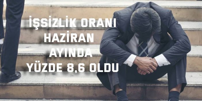 İşsizlik oranı Haziran  ayında yüzde 8,6 oldu