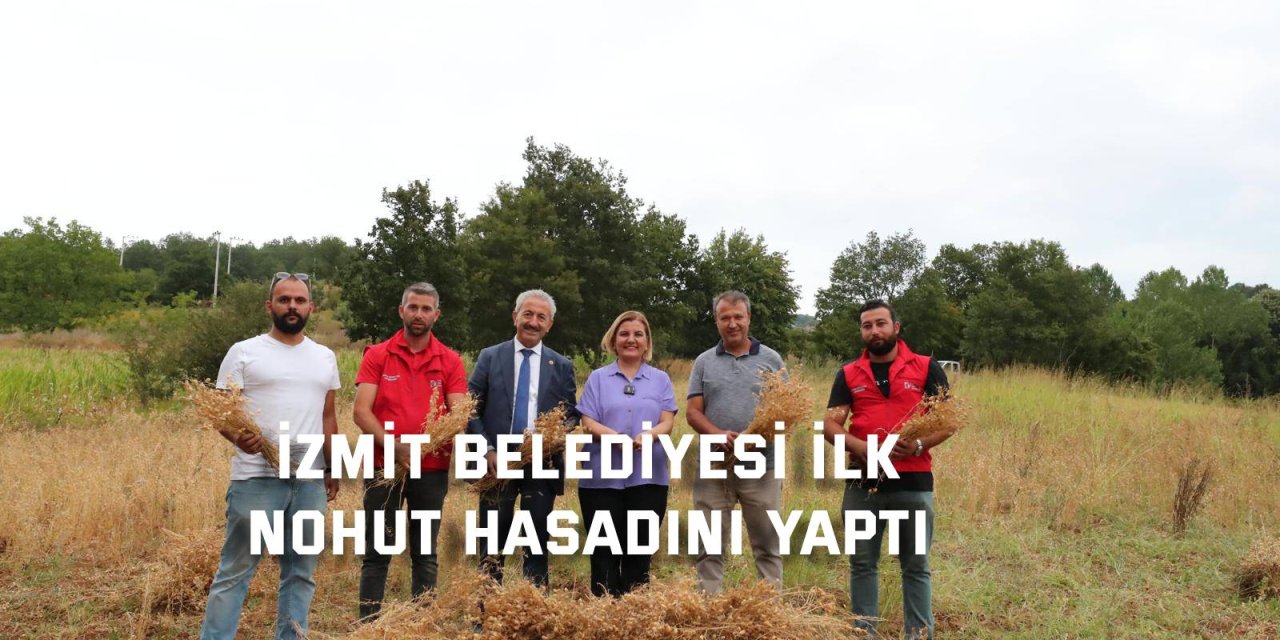 İzmit Belediyesi ilk  nohut hasadını yaptı