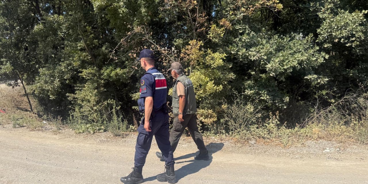 Dilovası Orman Denetimi Sürüyor