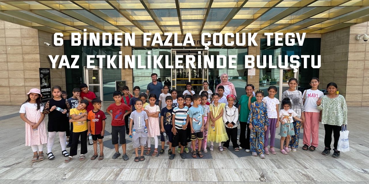 6 binden fazla çocuk TEGV  yaz etkinliklerinde buluştu