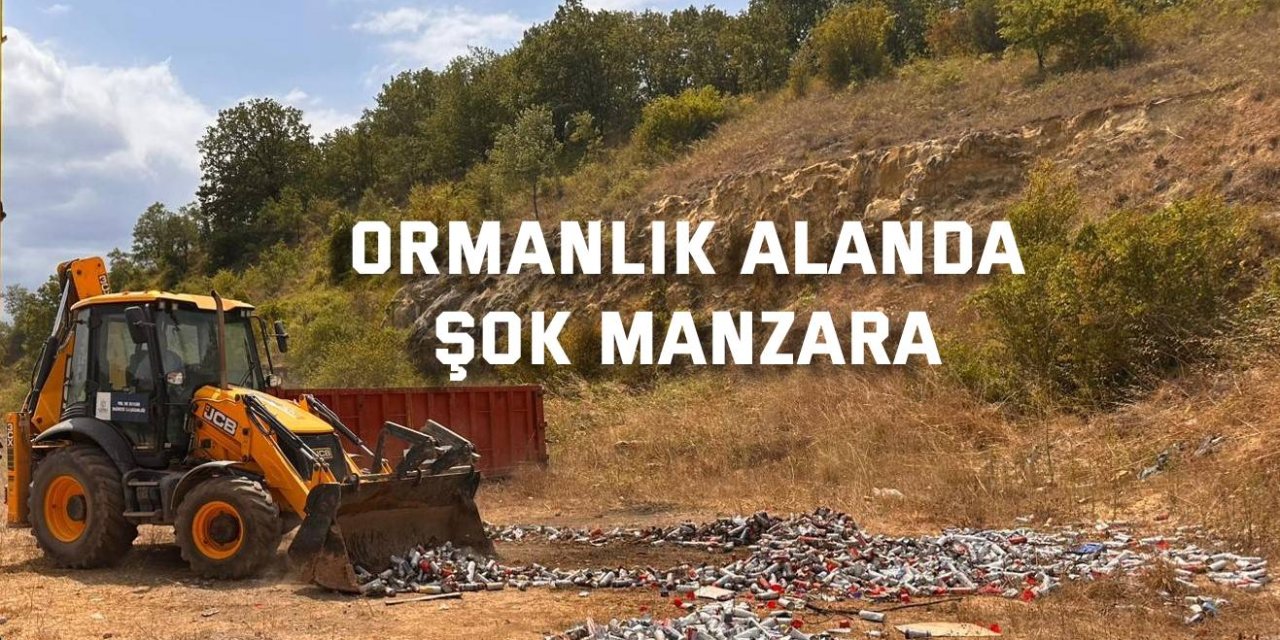 Ormanlık alanda şok manzara