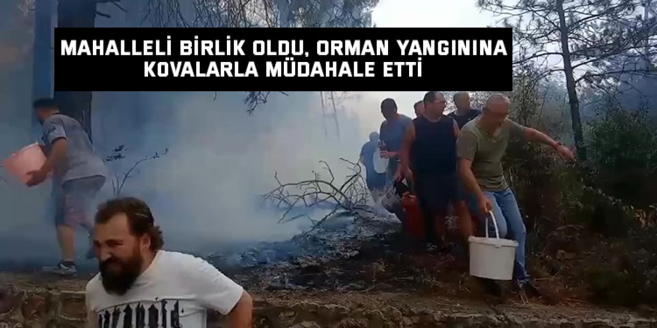 Mahalleli birlik oldu, orman yangınına kovalarla müdahale etti