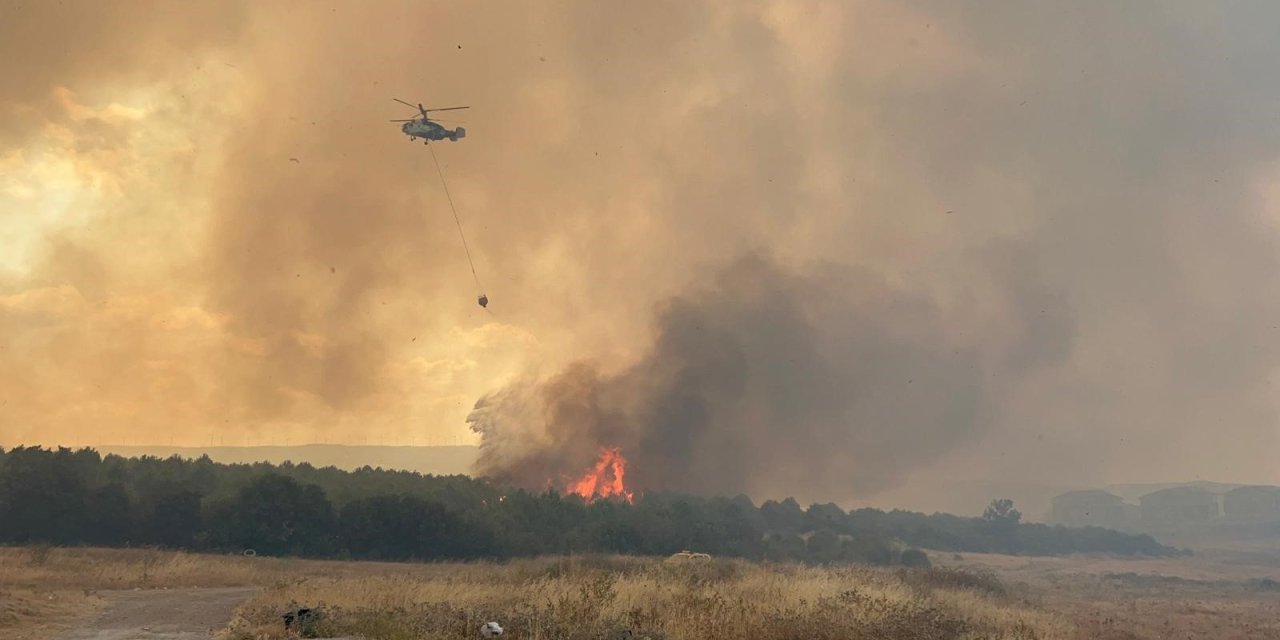 Çanakkale'de orman yangını