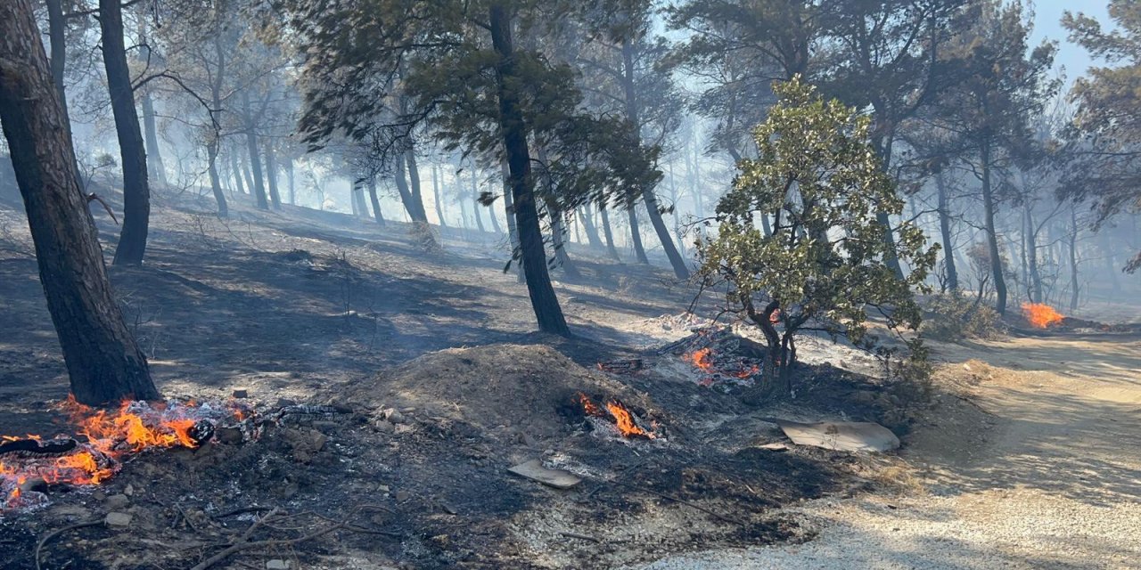 Çanakkale'de ormanlık alana sıçrayan yangında villalar yandı