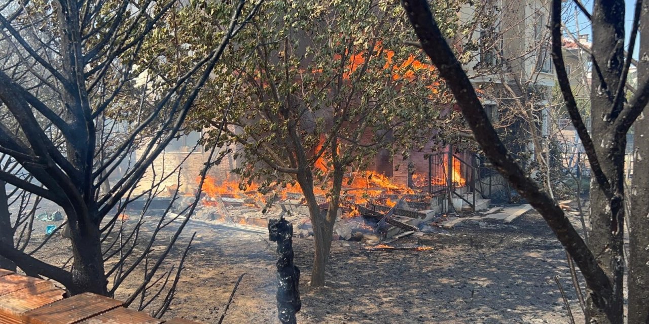 Çanakkale'de orman yangını devam ediyor