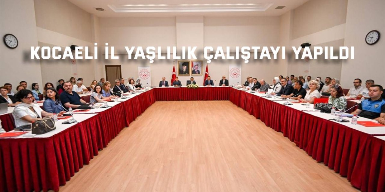 Kocaeli İl Yaşlılık Çalıştayı Yapıldı