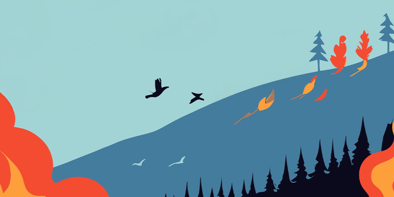 “Yangından Kurtulan Canlar Kurşunla Ölmesin”