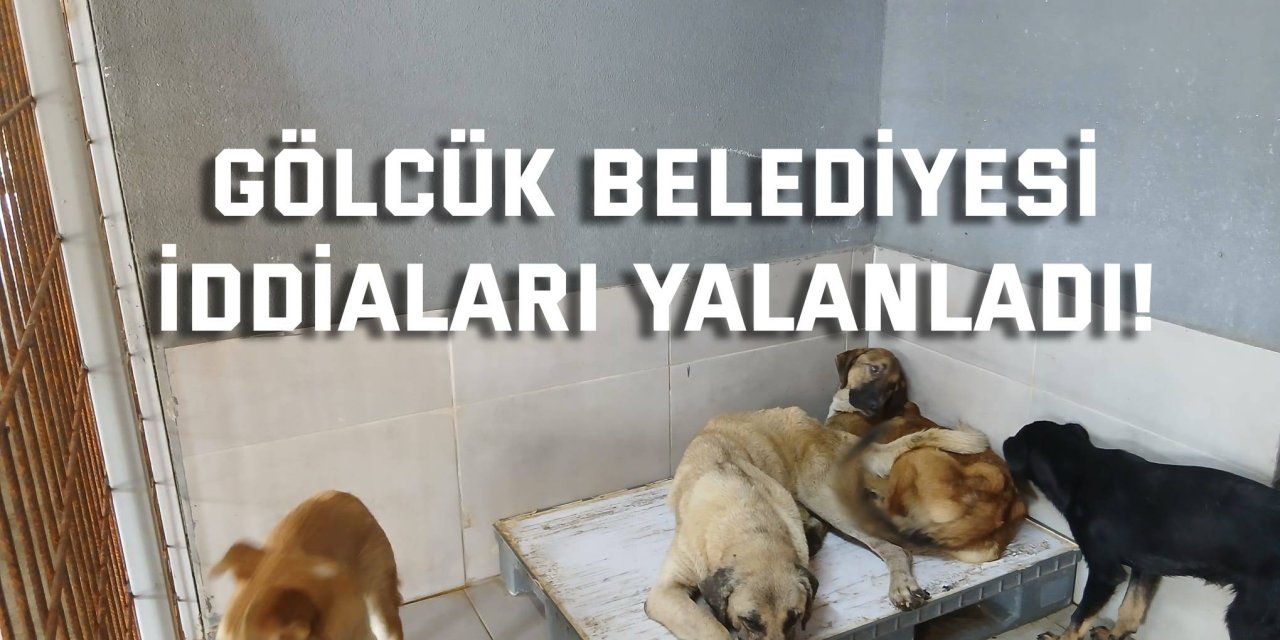 Gölcük Belediyesi  İddiaları Yalanladı!