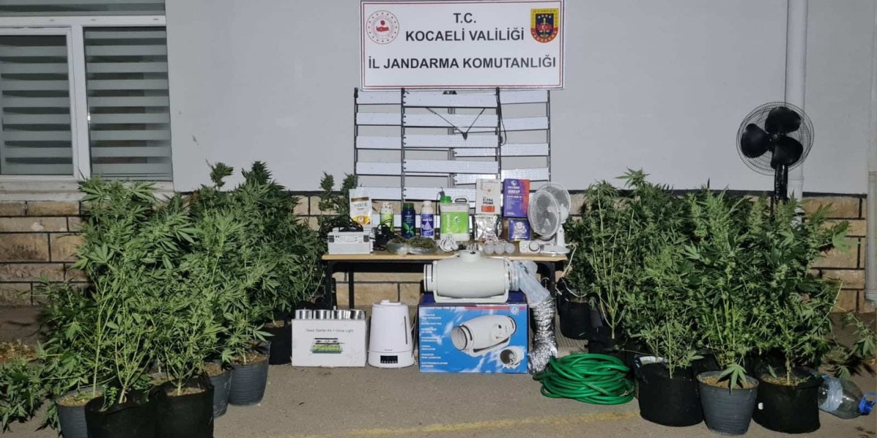 İzmit ve Kandıra'da uyuşturucu operasyonu