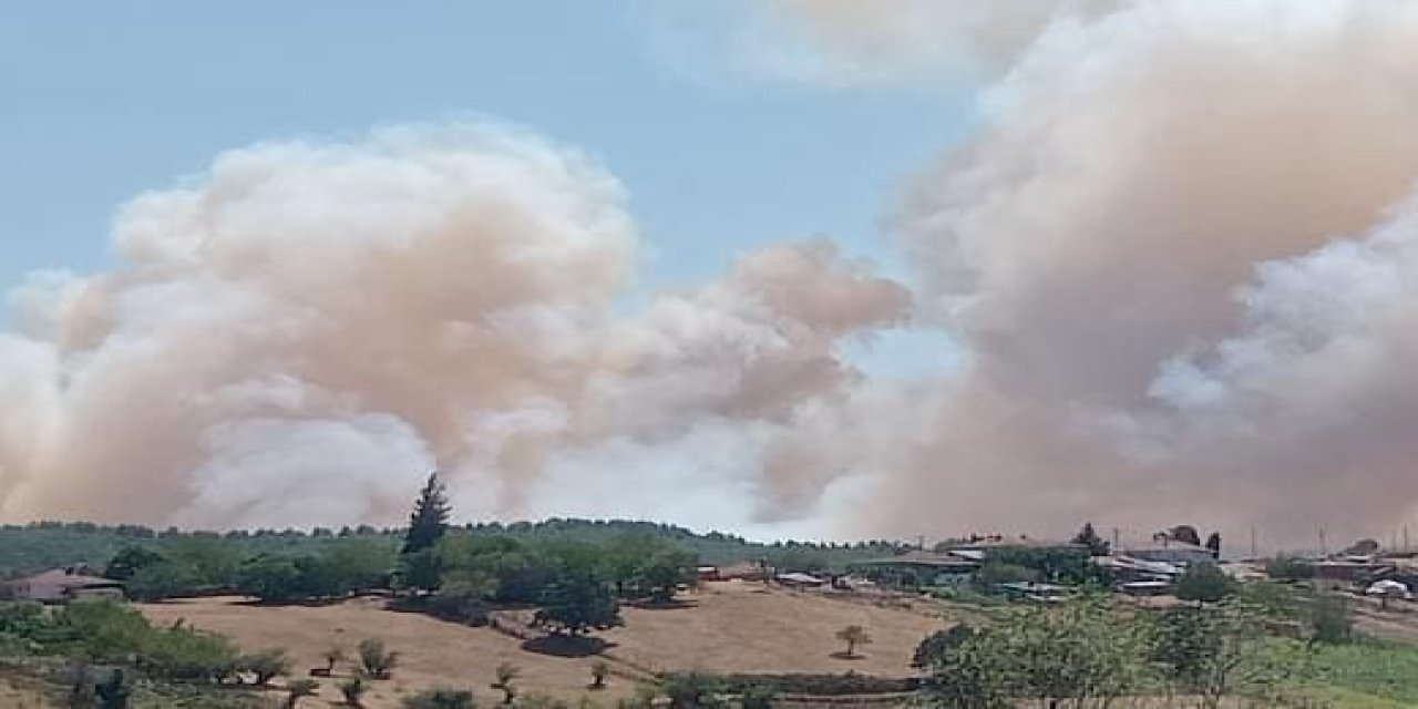 Kocaeli'de orman yangını başladı