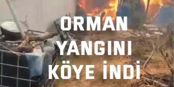 Orman yangını köye indi: "Kaç, artık hiçbir şey yapamayız"