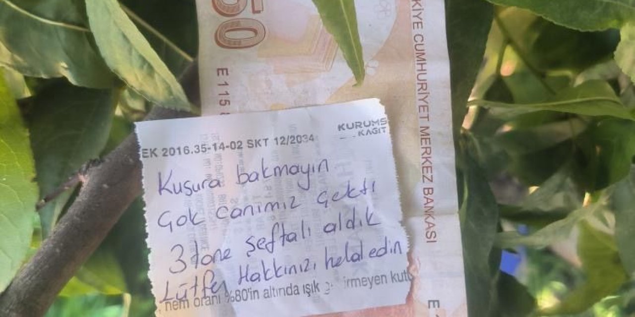 İnsanlık ölmemiş dedirten hareket