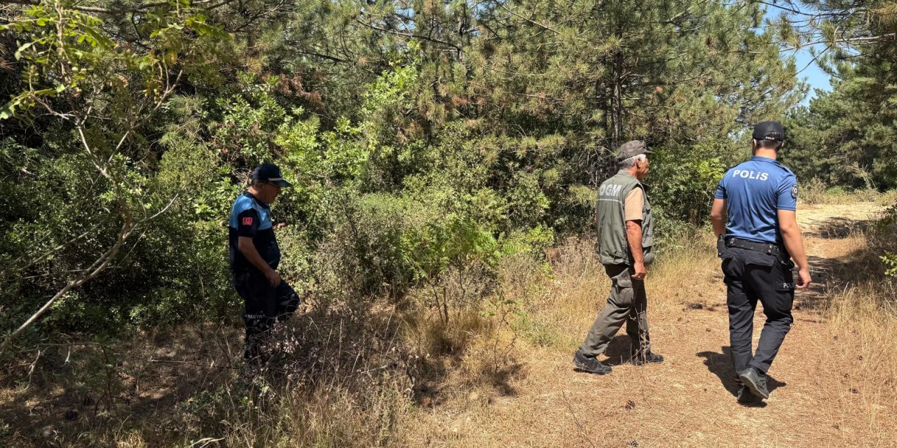 Orman Yangınlarına Karşı Denetimleri Sürüyor