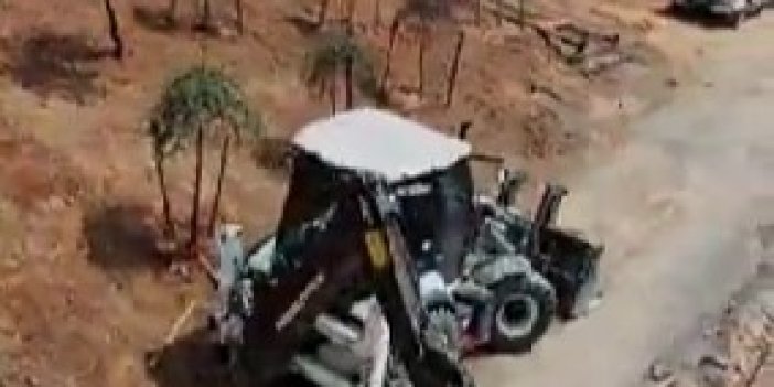 Pelitli Bayraktepe'ye Yeni Mesire Alanı