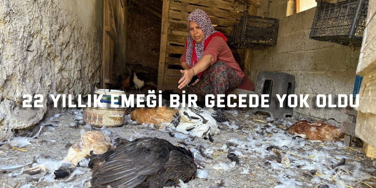22 yıllık emeği bir gecede yok oldu