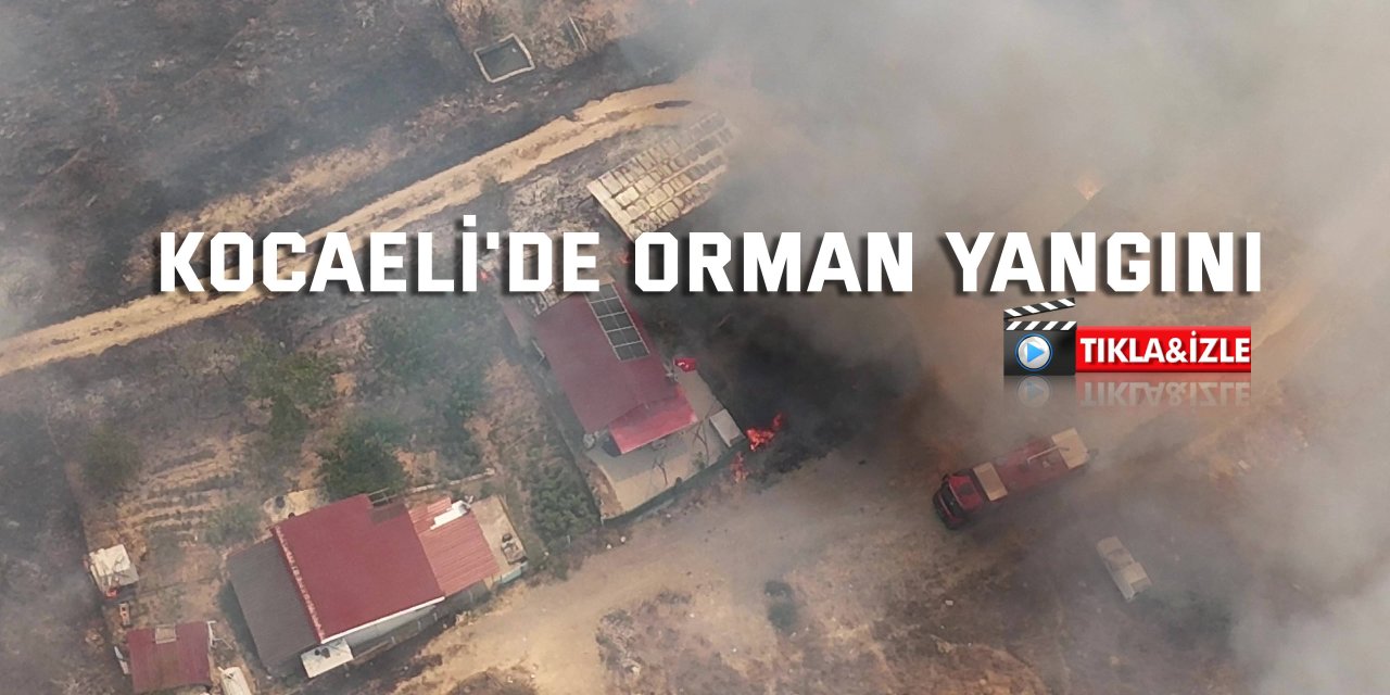 Kocaeli'de orman yangını