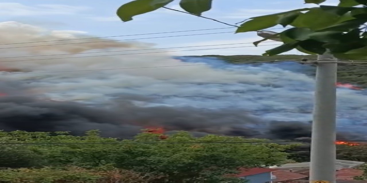 Kocaeli'de ağaçlık alanda yangın çıktı