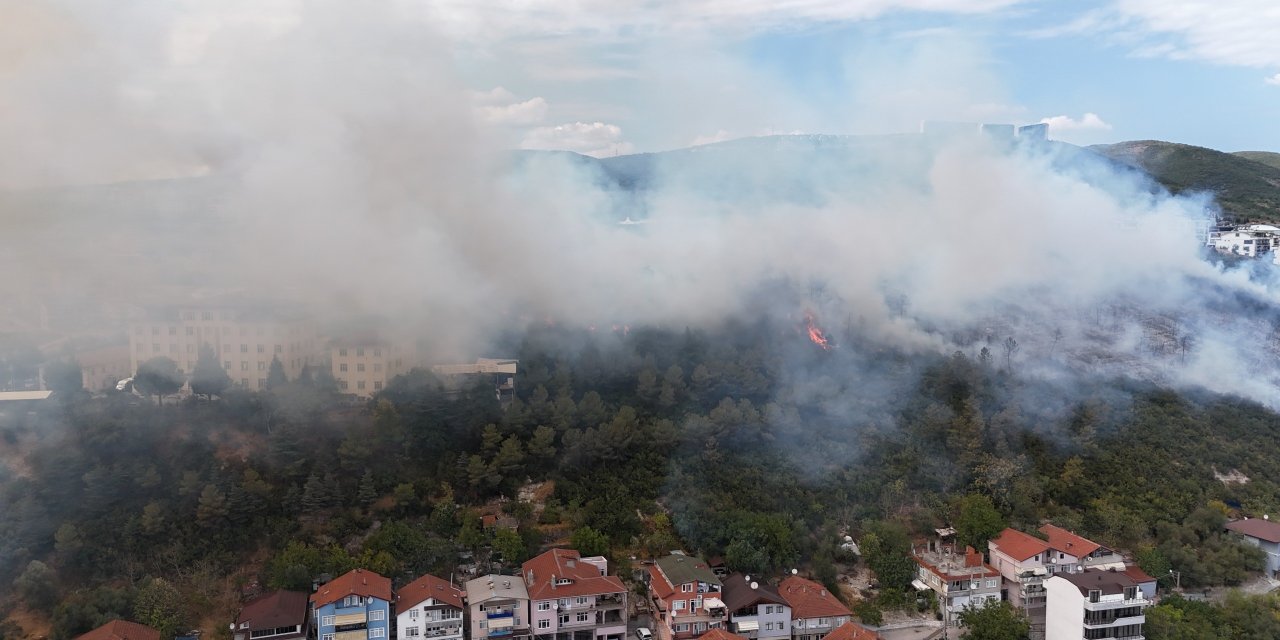 Kocaeli'de ağaçlık alana sıçrayan yangın kontrol altına alındı