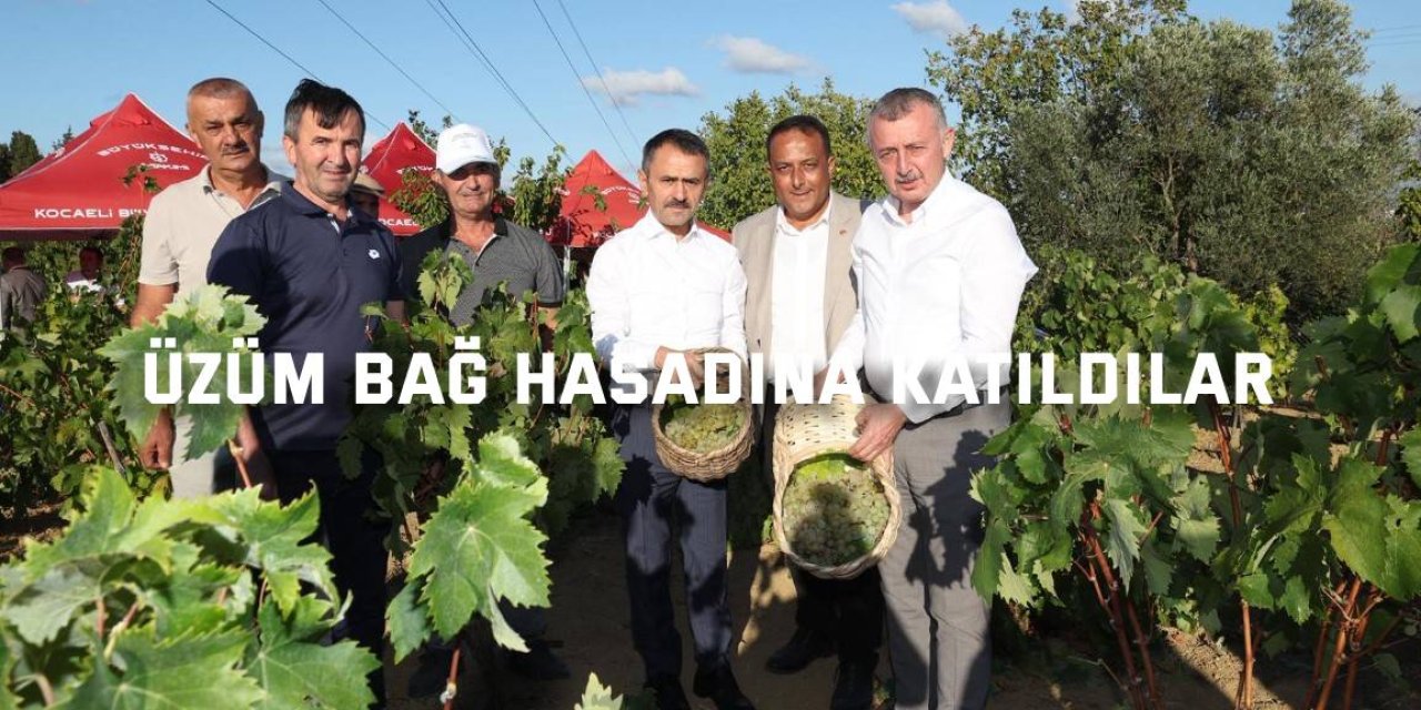 Üzüm Bağ Hasadına Katıldılar