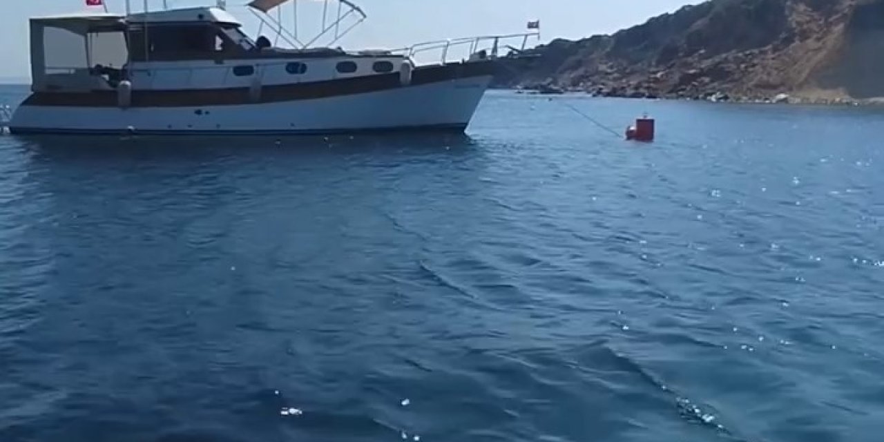 Ayvalık Adaları'nda  deniz çayırları korunuyor