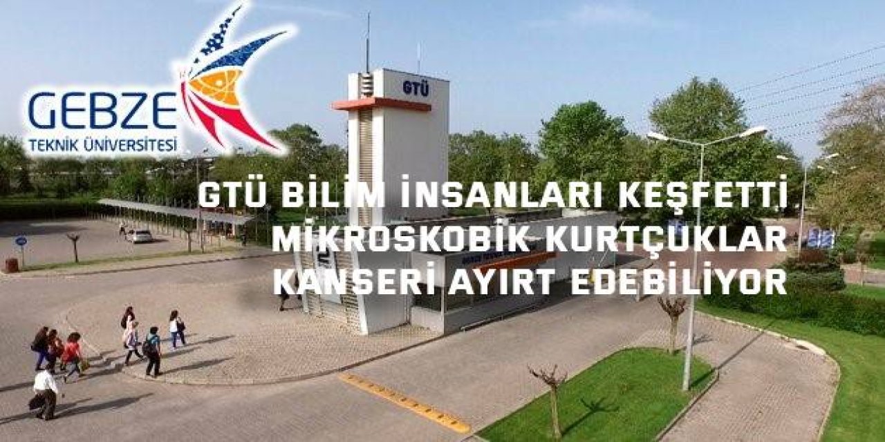 GTÜ BİLİM İNSANLARI KEŞFETTİ    Mikroskobik Kurtçuklar Kanseri Ayırt Edebiliyor
