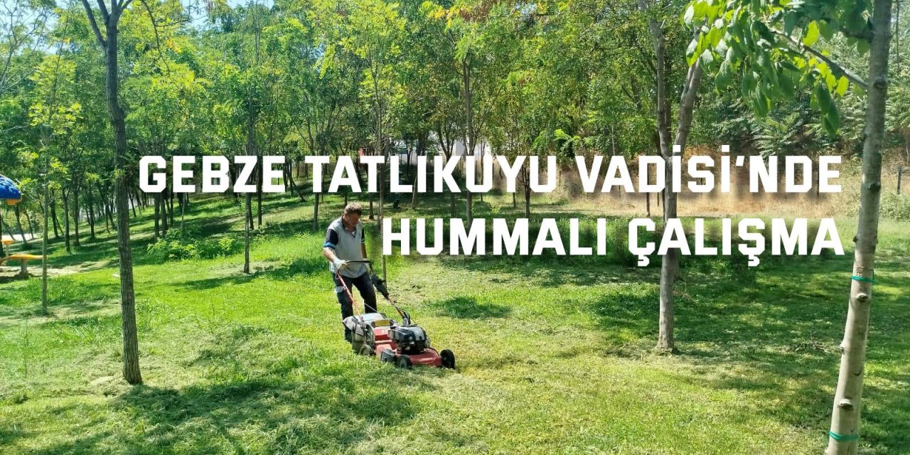 Gebze Tatlıkuyu Vadisi Kent Parkı’na düzenli bakım