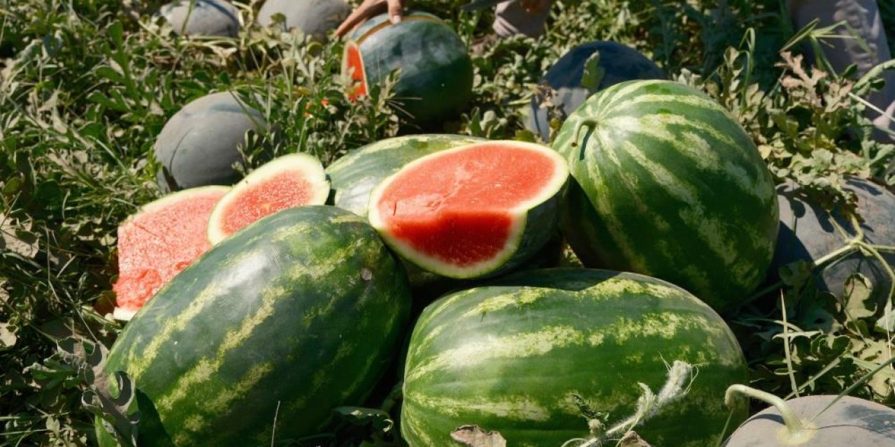 Karpuzun fiyatı 70 kilometrede 30'a katlanıyor