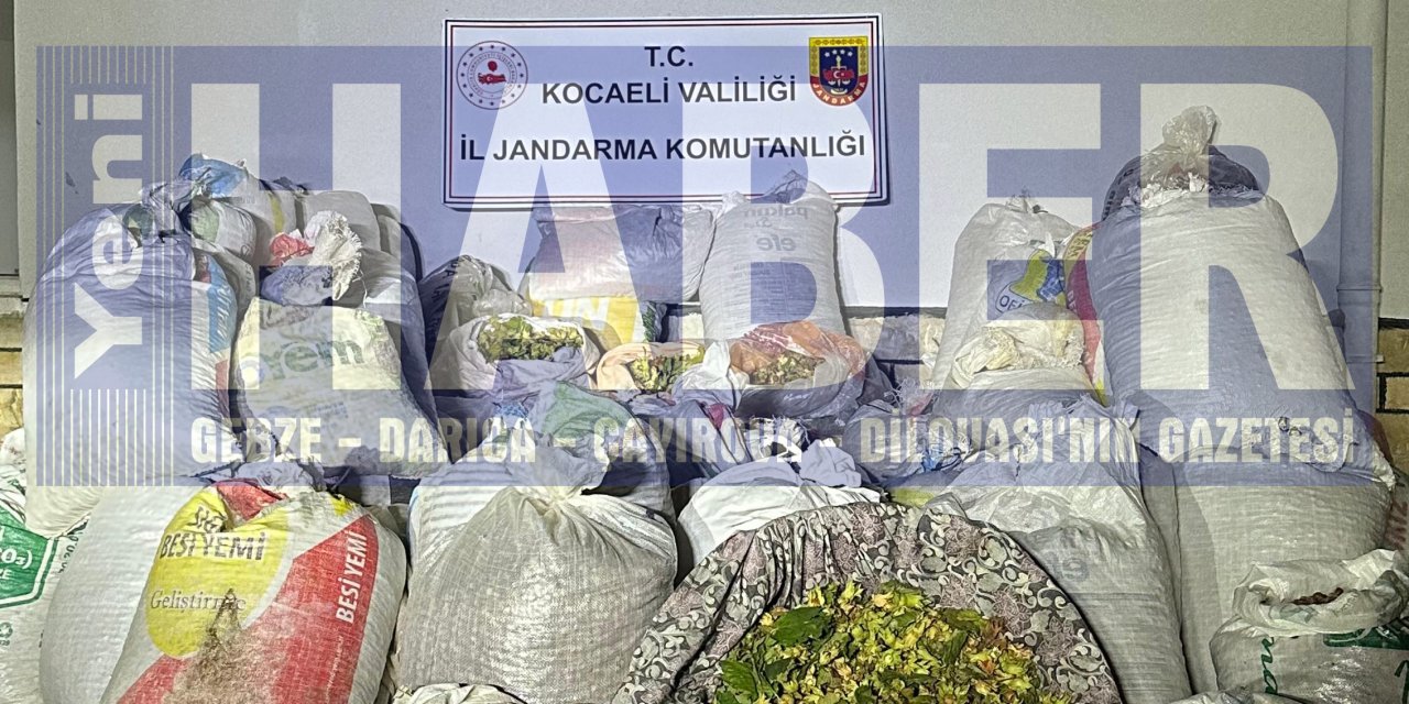 1.5 ton  fındık çaldılar! 5 kişi suçüstü yakalandı