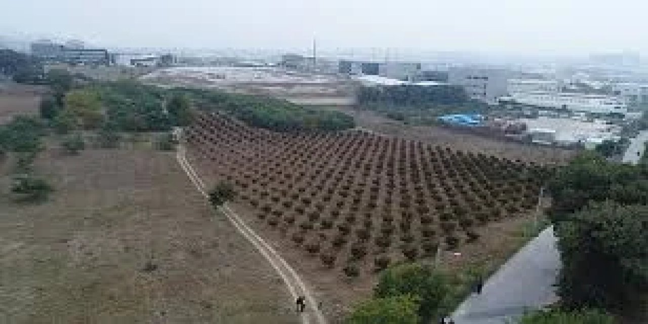 TOKİ’den Kocaeli’de dev arsa satışı! Yatırımcılar için büyük fırsat