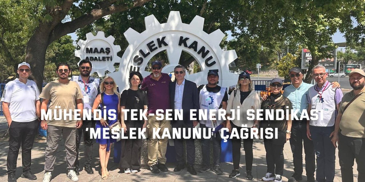 MÜHENDİS TEK-SEN ENERJİ SENDİKASI    ‘Meslek Kanunu’ çağrısı