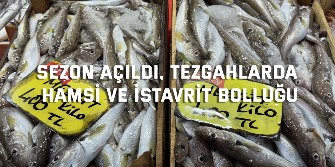 Sezon açıldı, tezgahlarda hamsi ve istavrit bolluğu
