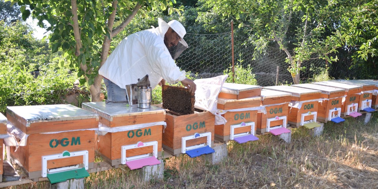 Türkiye dünya liderliğine oynuyor